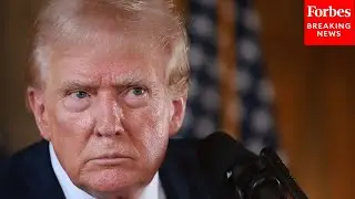 Economist Explains Why He Thinks Trump Is 'Technophobic' And What That Means For Innovation