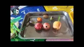LIFE SKILL ACTIVITY