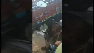 #flood in #jammu #kashmir #nh44 closed