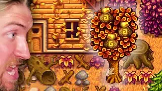 is that A MONEY TREE?!