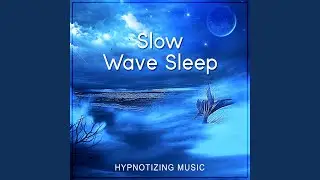 Slow Wave Sleep