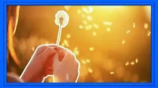 M&uacute;sica Positiva para purificar el Hogar la casa - Muy Relajante con Energia Positiva ♫