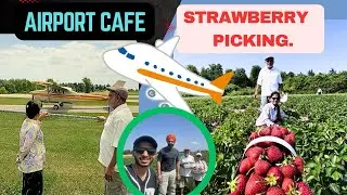Strawberry Picking Fun🍓| Flying Cafe🍽️ | Places to visit in Canada | Summer in Canada