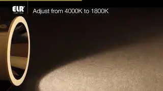ELR tuneWHITE 1800K - 4000K LED Module