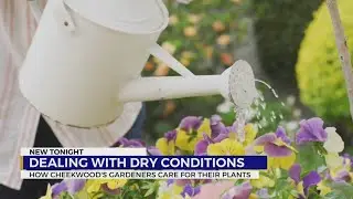 Dealing with dry conditions