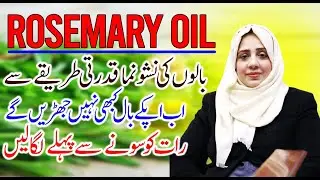 STOP Wasting Money on Expensive Hair Fall Treatments Try Rosemary Essential Oil NOW