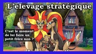 L'&Eacute;levage Strat&eacute;gique : D&eacute;buter la Reproduction 1/3 [STRAT&Eacute;GIE POKEMON]