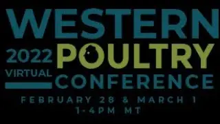 Getting to know the Poultry Innovation Partnership