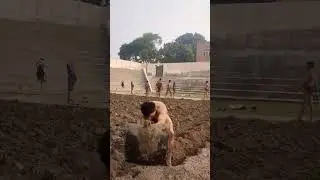 how to make akhada for pehlwani #motivation #wrestling #armwerstling #armworkout
