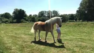 Liberty training - freedom to say 