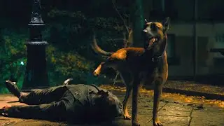 John Wick 4 Dog Peeing Scene | Best Funniest Sence in John Wick: Chapter 4