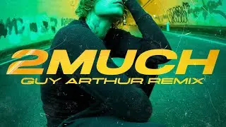 Justin Bieber - 2 Much (Guy Arthur Remix)