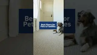 ✨ Best Floors for Pets & Families ✨ #qualityflooring #lvpfloors #home