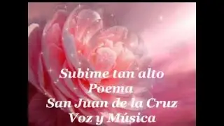 Subime tan alto tan alto  -  AhimsaLara Ribera