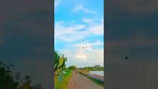 koipul view #viral video