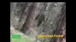 A UK Wildman/British Bigfoot Caught On Film - With Comparison Image Included