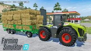 Перегруженные квадратные тюки соломы и кормление коров в FS23 | Farming Simulator 23 | Таймлапс |