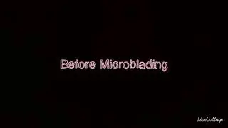 Eyebrow Feathering method! Amazing Results 😍 by Brow Boutique By Marina