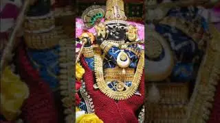 Sringar Aarti darshan of Sri Radha RamanJi@Sri Vrindavan Dham#18 Jan.2026 ||shorts