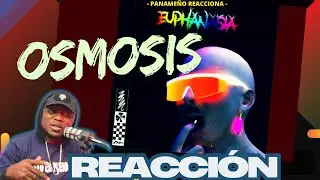 Buhodermia - Osmosis |PANAMEÑO REACCIONA|