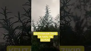 KEUTAMAAN ZIKIR YA HAYU YA QOYUM #islam #islamicvideo #islamicstatus