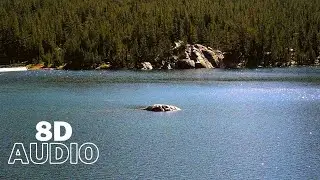 🎧8D Relaxing nature sounds - Birds singing on the lake! Morning Forest sounds for sleeping!