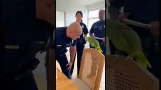 CCTV: Parrot Roasts Police During Interrogation 🦜 #aivideo #parrot #shorts #sora2