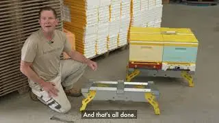 2 hive stand
