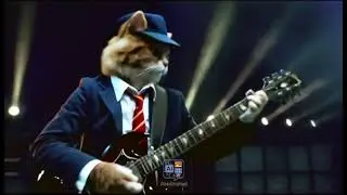 Angus Young as a Cat 2 (AI assisted transformation)