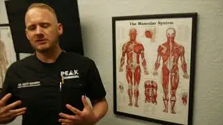 Is A Weak Core Causing Your Back Pain?
