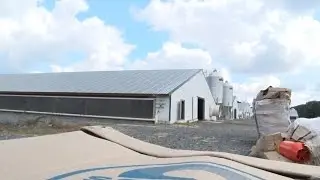 CHICKEN WARS: Concerns raised about possible health concerns from industrial chicken farms