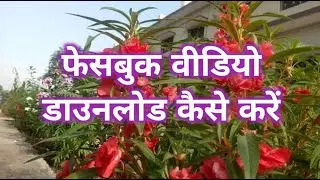 How to download FaceBook video | FaceBook real download | Hindi tutorials - By Manish Kaushal | MKTC