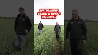 What we learned growing LG Beowulf this season | Winter Wheat | Farmer Robert Fleming