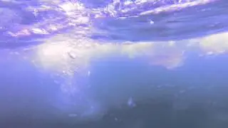 Shark and Rig Diving Louisiana Mississippi March 22, 2014