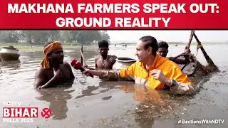 Bihar Election Update | Makhana Farmers Speak Out: Ground Reality From Purnia's Fields