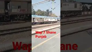12498 Shan-e-Punjab superfast express wap 7 locomotive 🚂 #train #intercityexpress