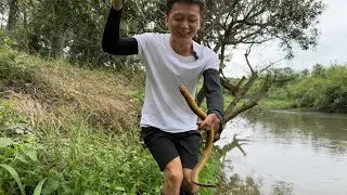 這種環境絕對是藏有大貨的地方，釣着釣着它就來了#大熱門 #fishing