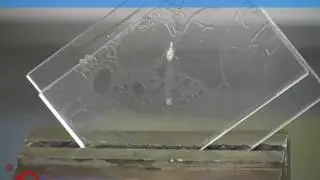 Interflon масла