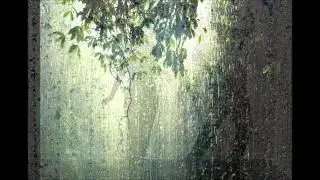 B&aacute;ra Basikov&aacute; - Ř&iacute;jen sp&iacute;