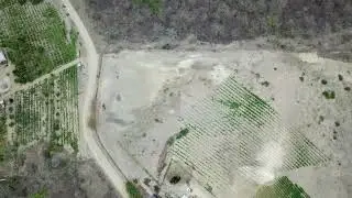 tierras vendidas hace dos a&ntilde;os con sembrios