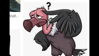 EXPOSING Vulture216 (this guy is wild)