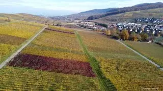 Pfaffenweiler, Germany