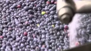 Schwans Fresh Fruit