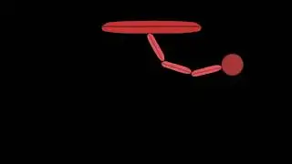 AfterEffects Pendulum
