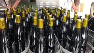 Embouteillage Irancy 2018 - St&eacute;phanie Colinot
