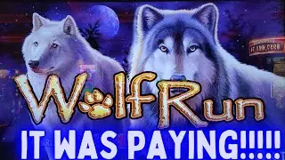 WOW This Wolf Run Was HOT Slot Machine