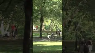 The Mall | Central Park | New York