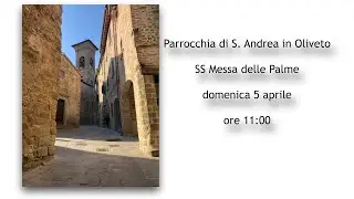 SS Messa delle Palme - Parrocchia S. Andrea in Oliveto