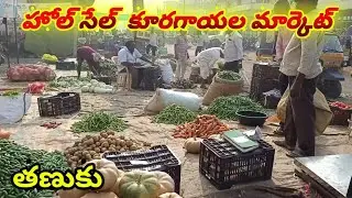 Tanuku Whole Sale Vegetable Market/ తణుకు హోల్సేల్ కూరగాయలు మార్కెట్/Tanuku Market@narendra pantham