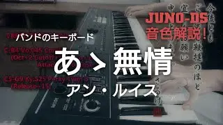 【音色解説】アン・ルイス『あゝ無情』バンドのキーボードカバー【JUNO-DS】
